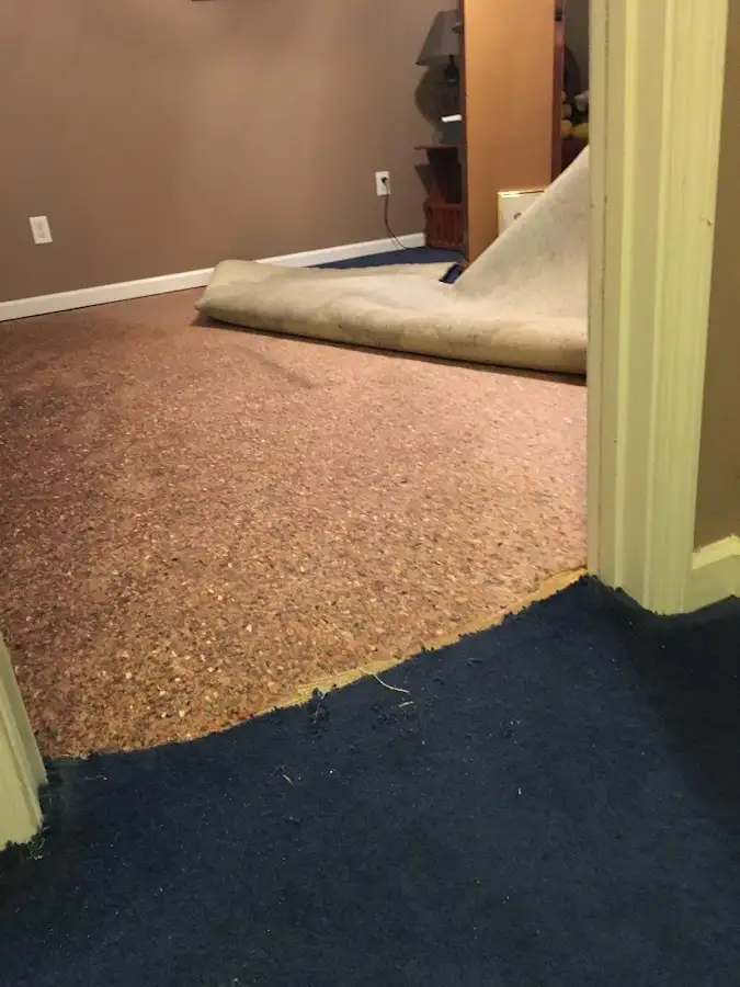 Carpet pad removal revealing water damage during Water Mitigation Services in Thomasville