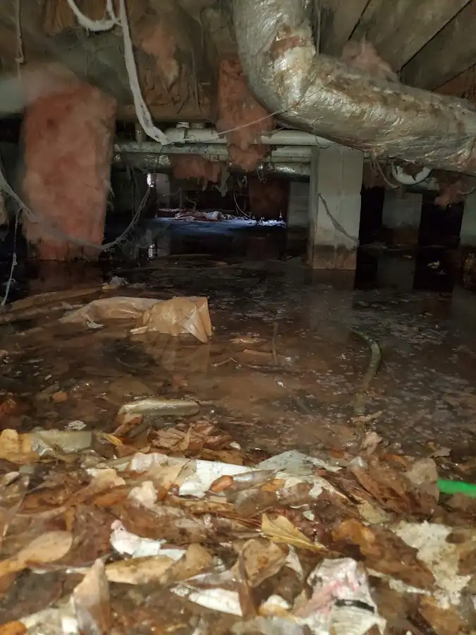 Crawl space flood assessment for Commercial Water Damage Restoration in Thomasville