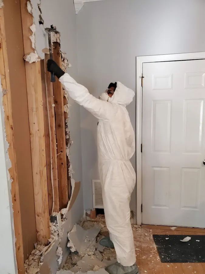 Mold Inspection & Testing in Thomasville, GA